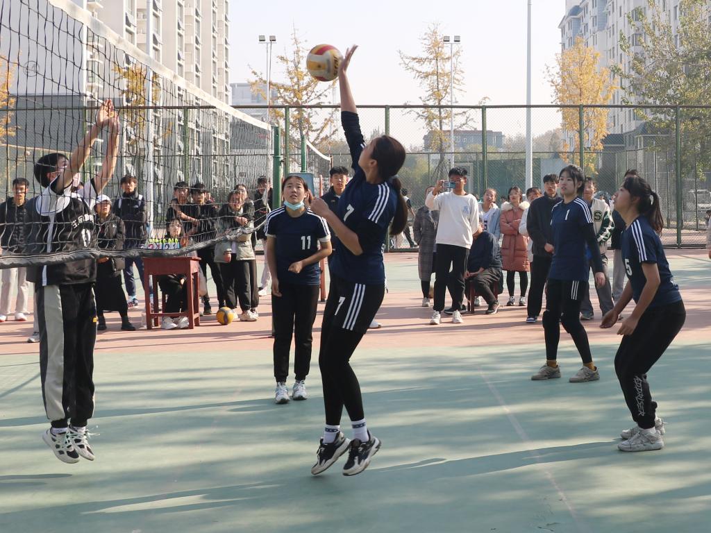 合法赌博网站
