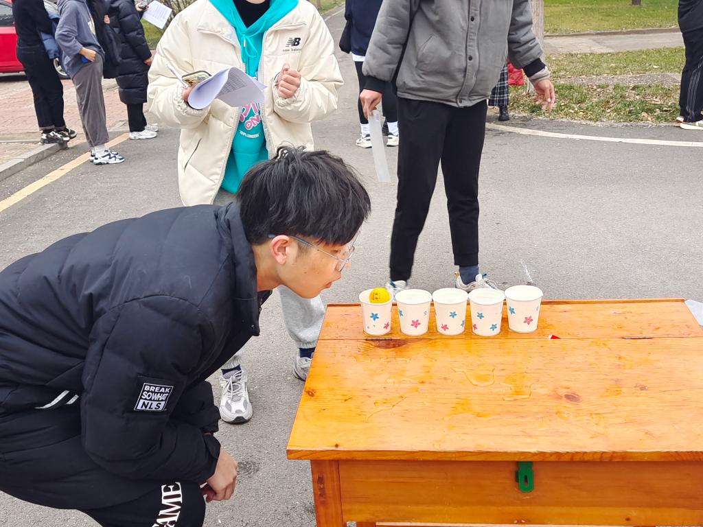合法赌博网站