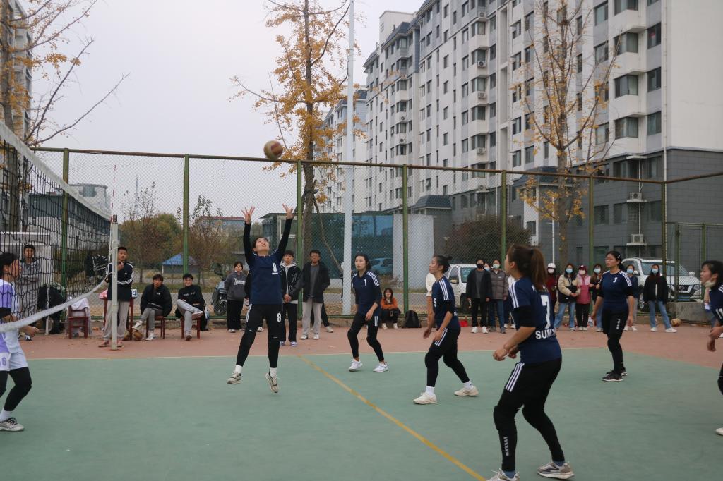 合法赌博网站