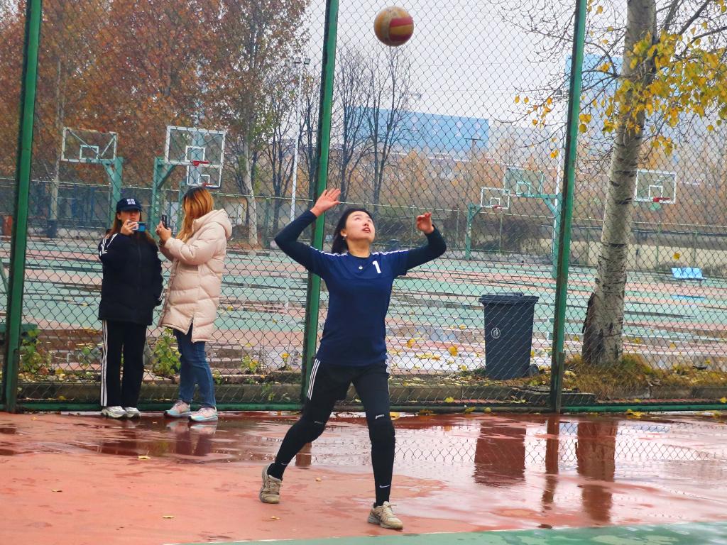 合法赌博网站