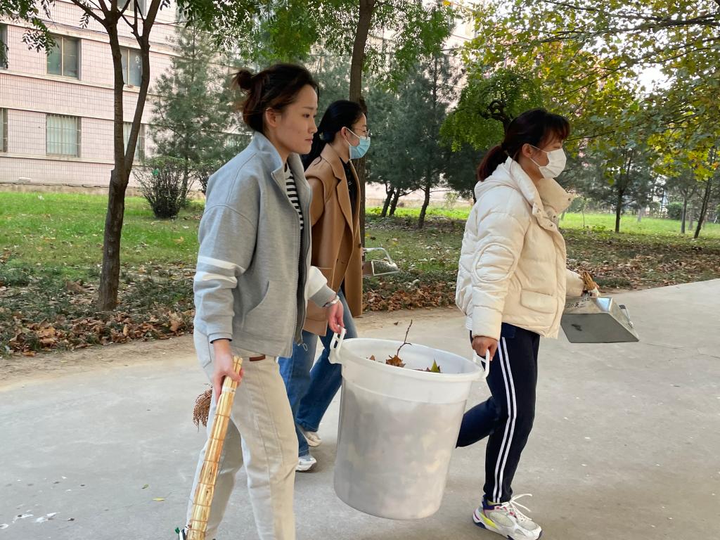 合法赌博网站